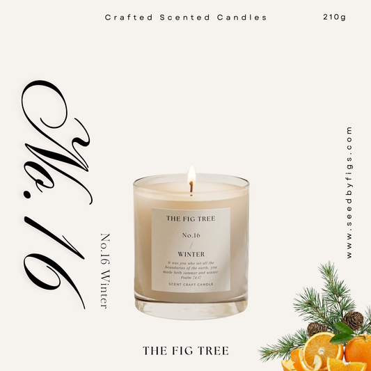 No.16 Winter 冬|心靈大地香氛蠟燭 210g