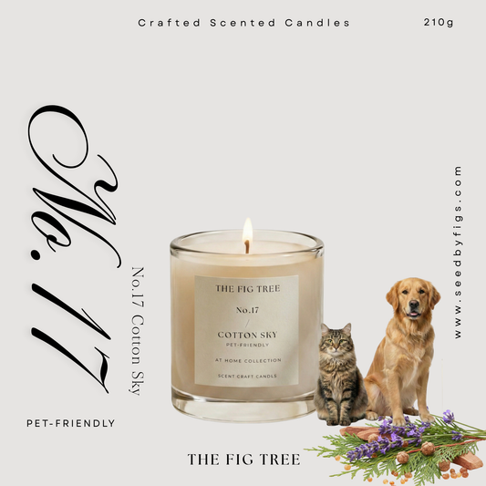 No.17 Cotton Sky 棉花天堂| Pet Friendly 寵物友善款 天然香氛蠟燭 210g