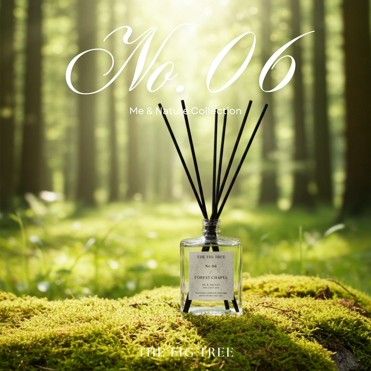 No.06 Forest Chapel 森山教堂|Naturally Scented Diffuser 大地自然淡香瓶 150ml