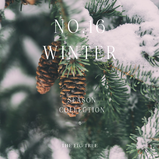 No.16 Winter 冬|心靈大地香氛蠟燭 210g