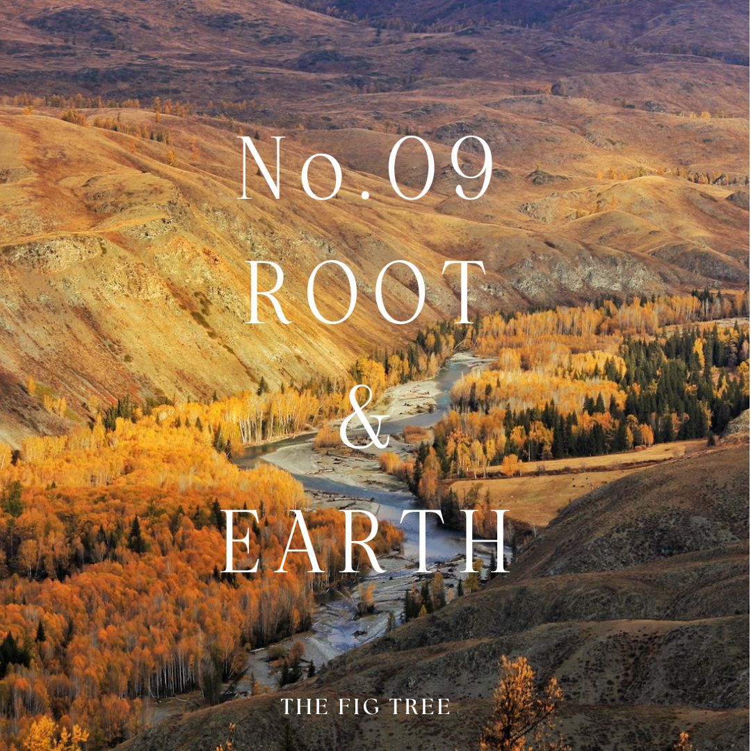 THE FIG TREENo.09 Roots & Earth 擁抱大地|心靈香氛蠟燭