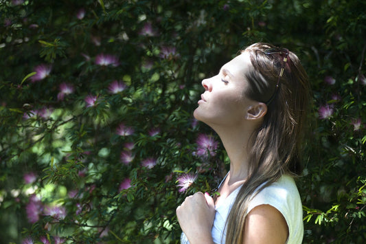 香氣的旅行｜The Journey Of Scents - THE FIG TREE