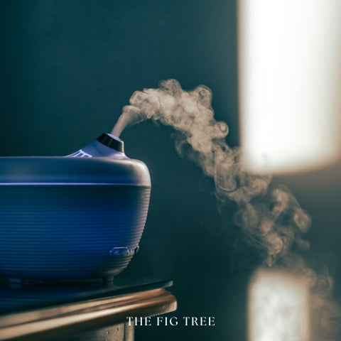 THE FIG TREE-Aromatherapy & Essential Oil