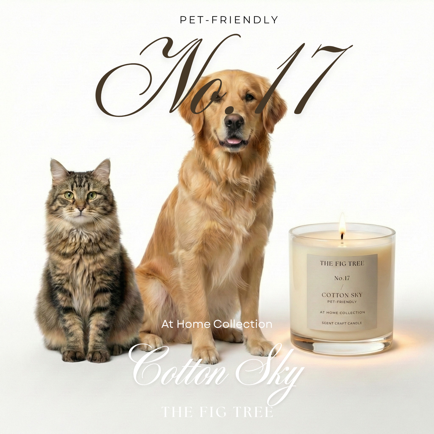 No.17 Cotton Sky 棉花天堂｜ Pet Friendly 寵物友善款 天然香氛蠟燭 210g