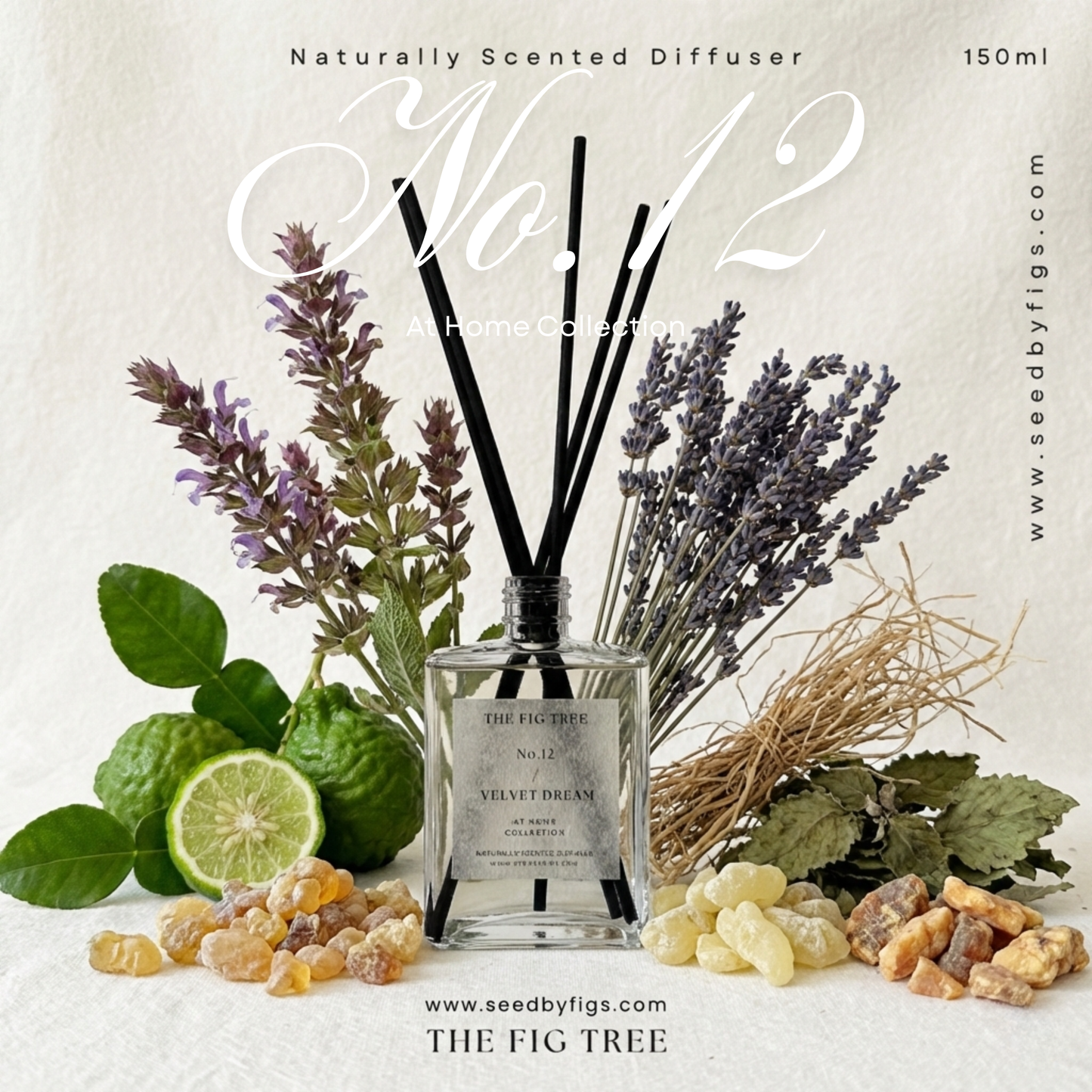 No.12 Velvet Dream 天鵝絨之夢｜Naturally Scented Diffuser 大地自然淡香瓶 150ml