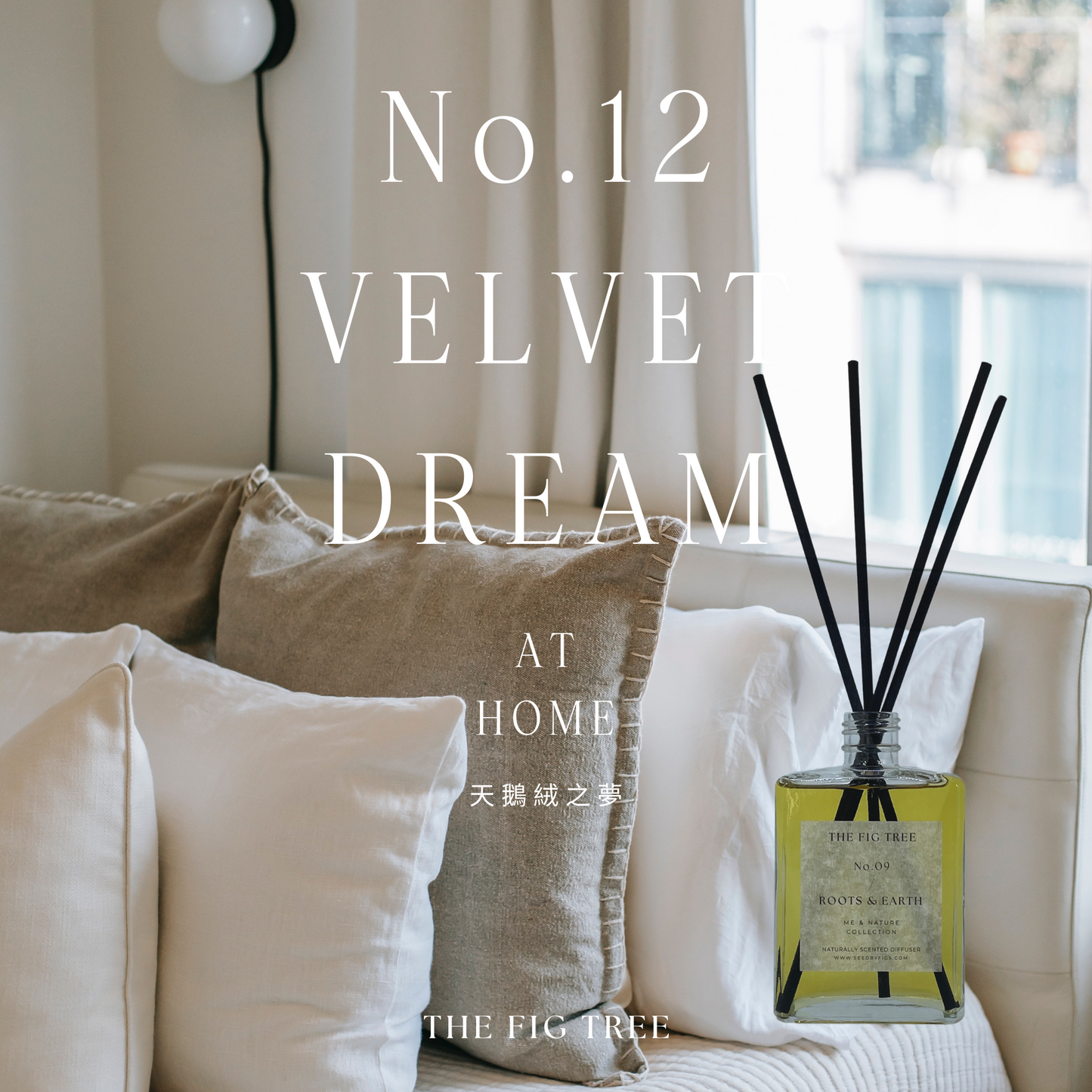 No.12 Velvet Dream 天鵝絨之夢｜Naturally Scented Diffuser 大地自然淡香瓶 150ml