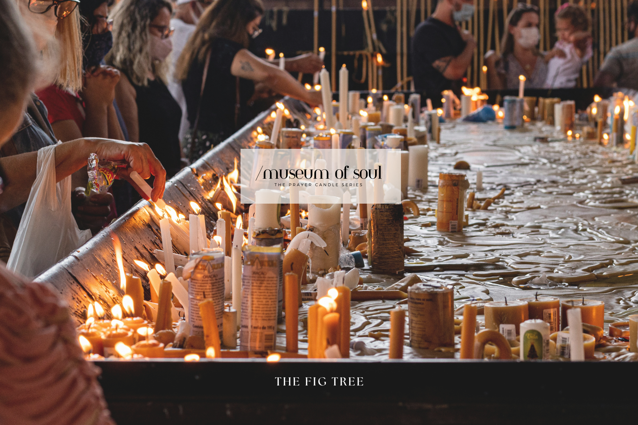 THE FIG TREE /museum of soul 心靈博物館-The Prayer Candle Series 祈禱香氛工藝蠟燭 