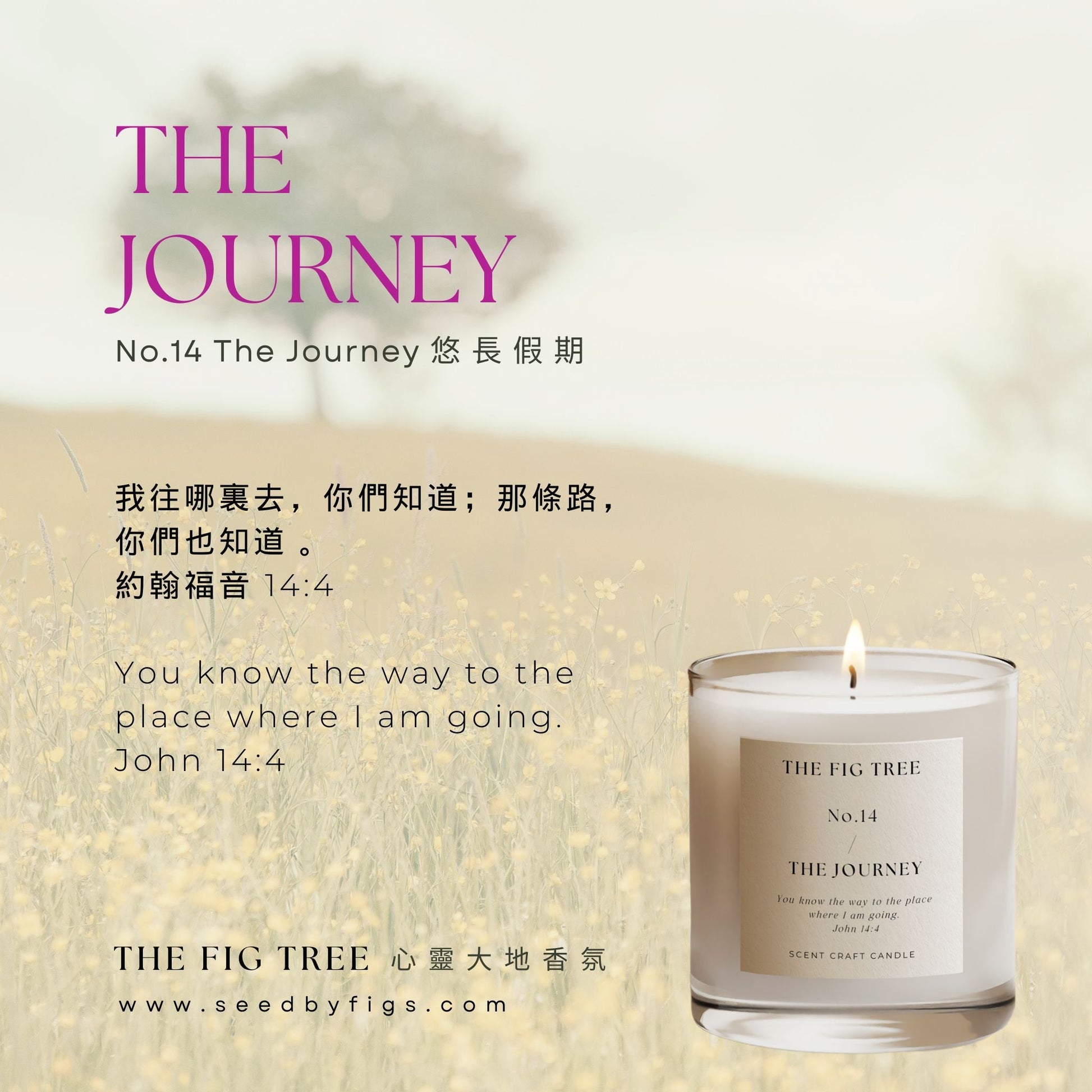 THE FIG TREENo.14 The Journey 悠長假期｜心靈香氛蠟燭