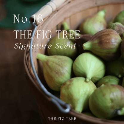 THE FIG TREENo.16 THE FIG TREE Signature Scent 夏天的院子｜心靈香氛蠟燭