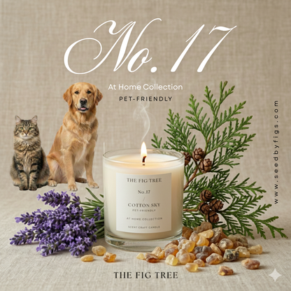 No.17 Cotton Sky 棉花天堂｜ Pet Friendly 寵物友善款 天然香氛蠟燭 210g